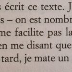 Hervelino, de Mathieu Lindon